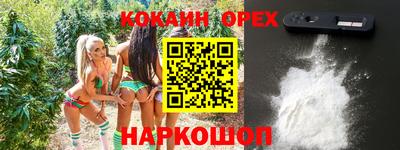 стафф Аргун