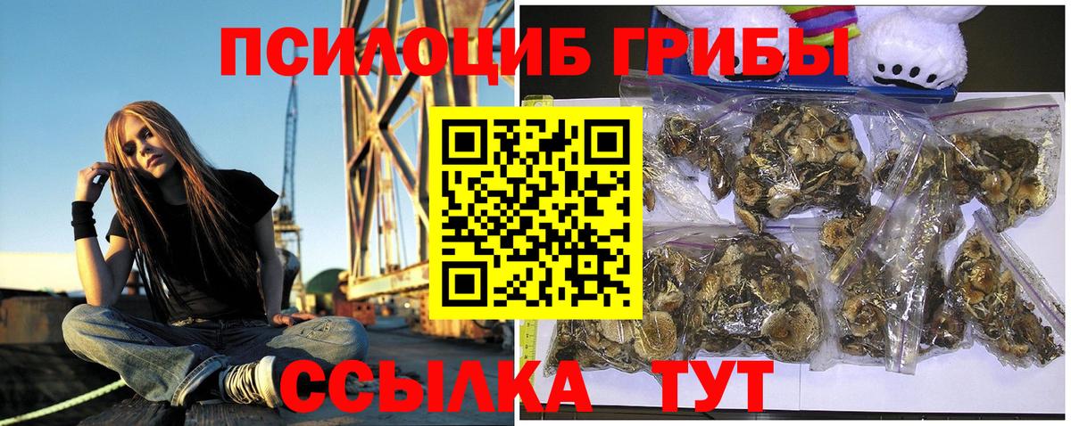 Ачхой-Мартан  Галлюциногенные грибы GOLDEN TEACHER  Вход с VPN  Галлюциногенные грибы ЛСД 