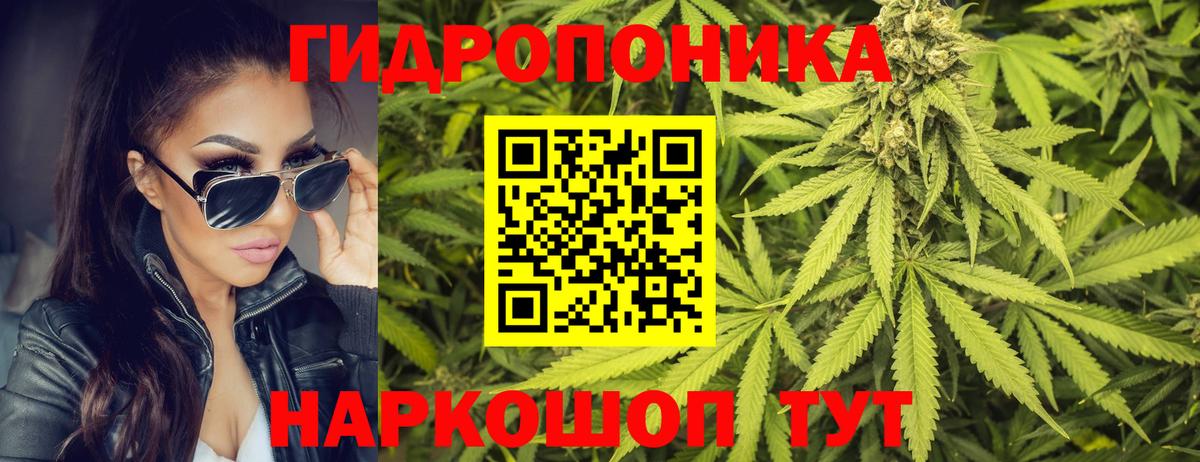 Бошки Шишки VHQ  Каннабис марихуана  Ачхой-Мартан  Вход с VPN  Шишки марихуана OG Kush 
